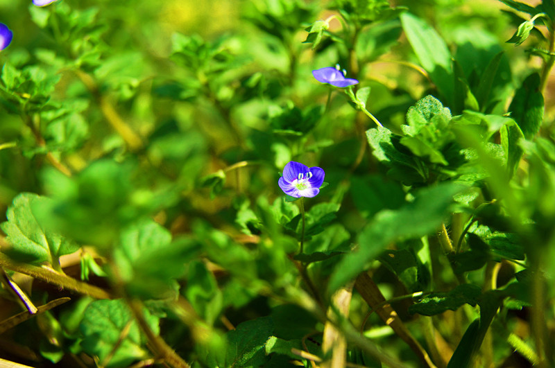 dsc00837_.jpg