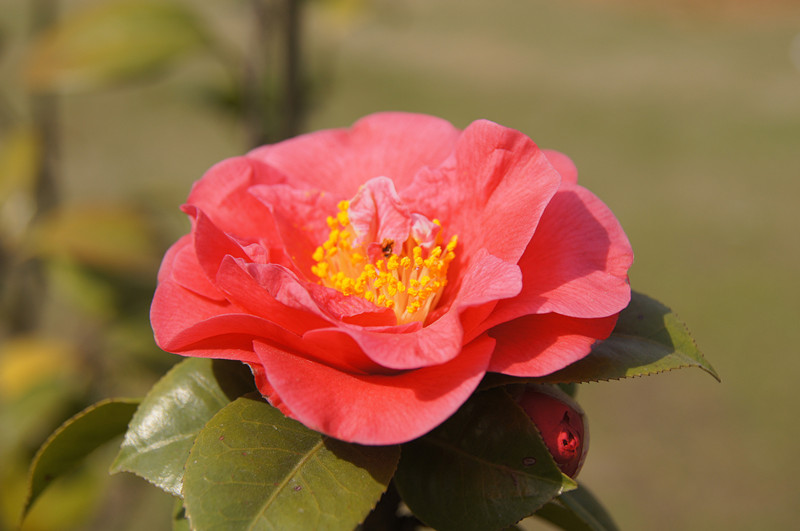 dsc00855_.jpg