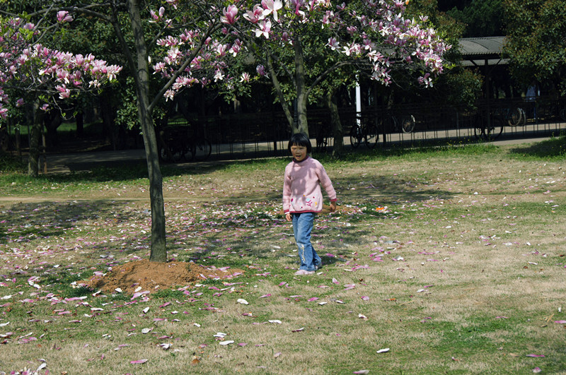 dsc00866_.jpg