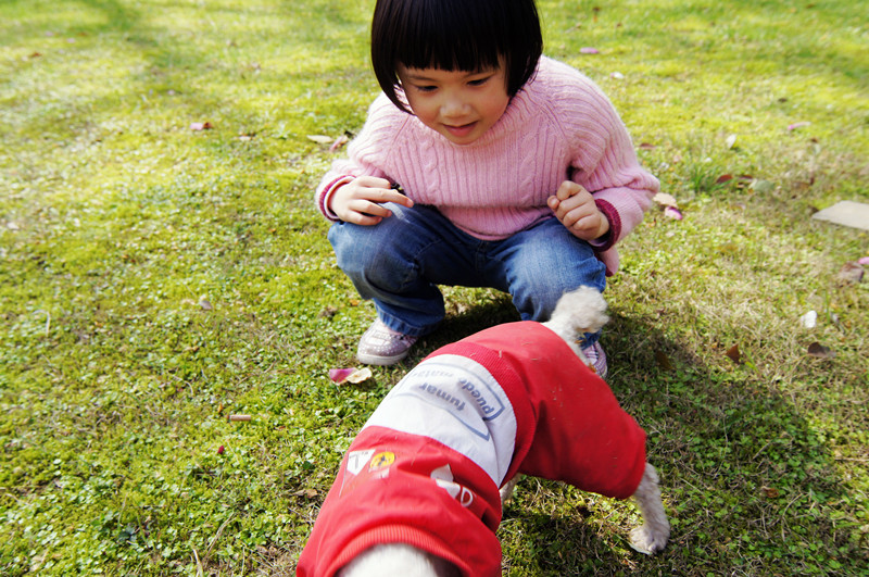 dsc00880_.jpg