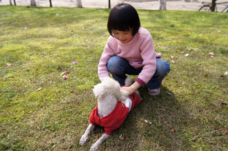 dsc00881_.jpg