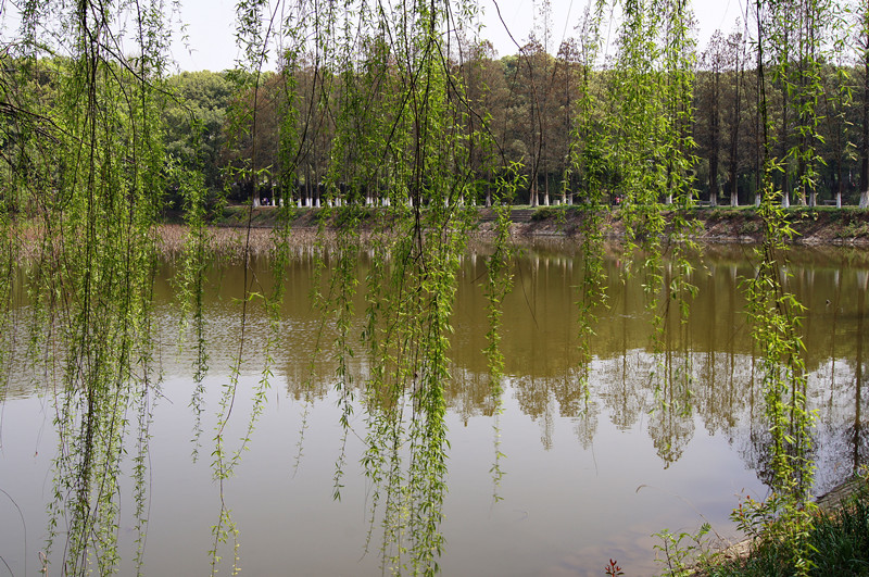 dsc01000_.jpg