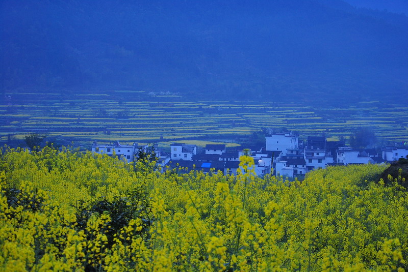 2012Դ°ʯ̶_007_С.jpg