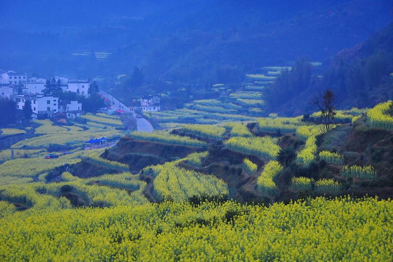 2012Դ°ʯ̶_011_С.jpg
