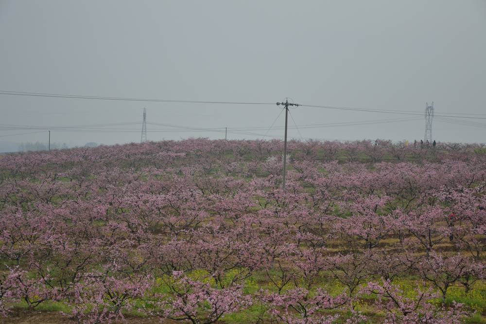 2012.4.4һ53.jpg