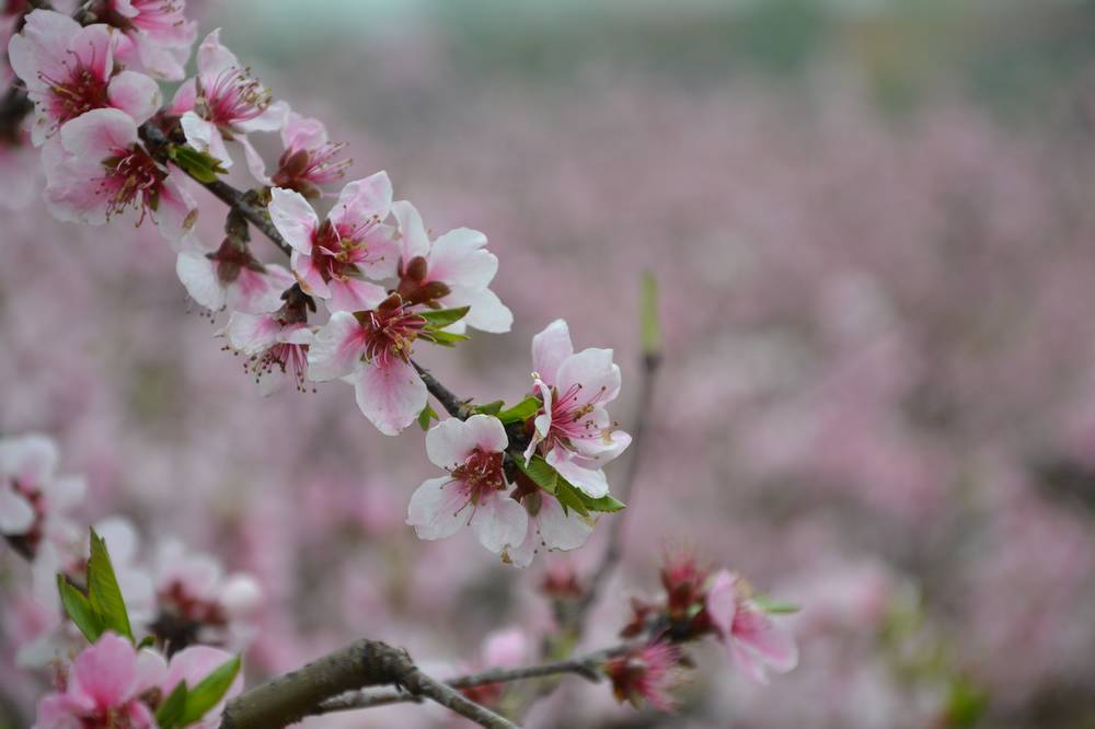 2012.4.4һ58.jpg
