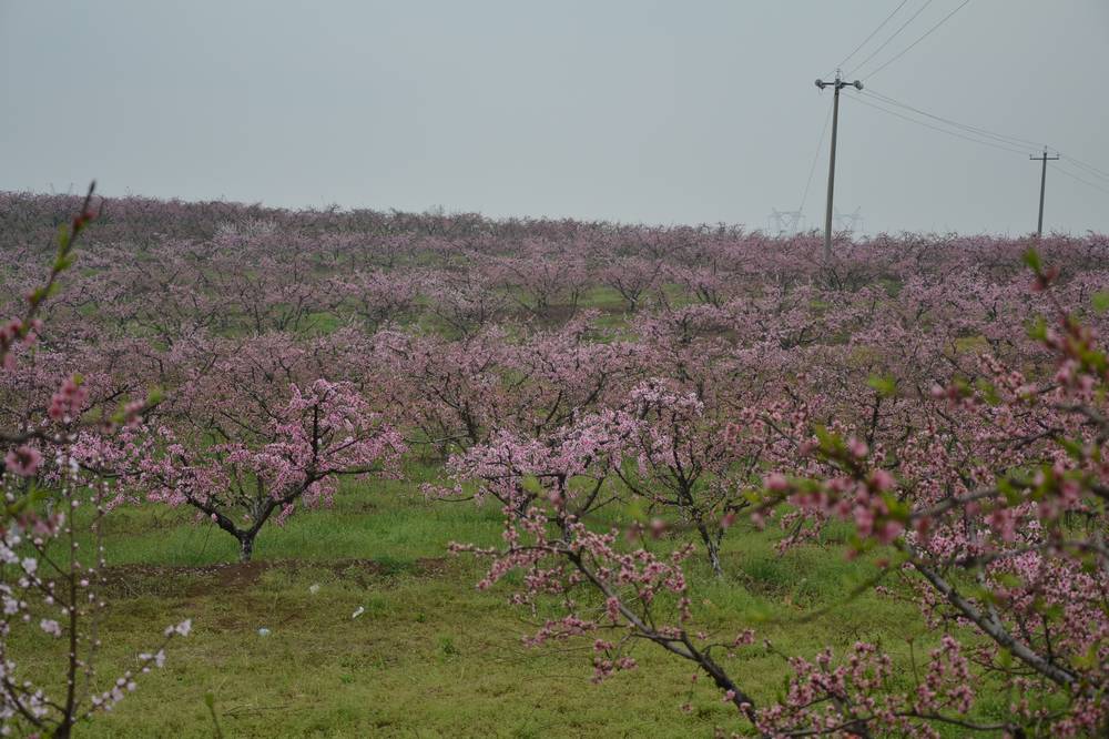 2012.4.4һ91.jpg