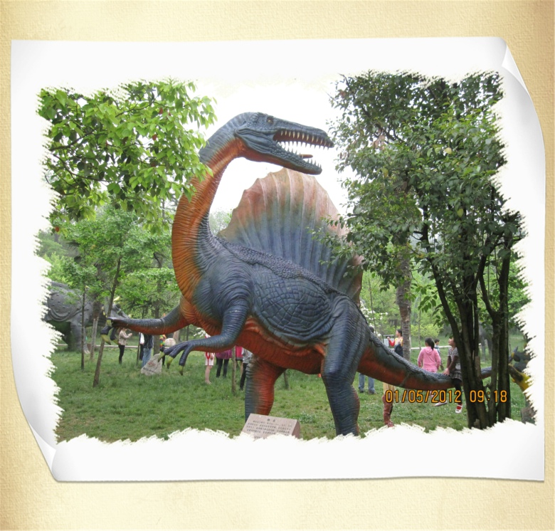 2012.5.1 1615.jpg