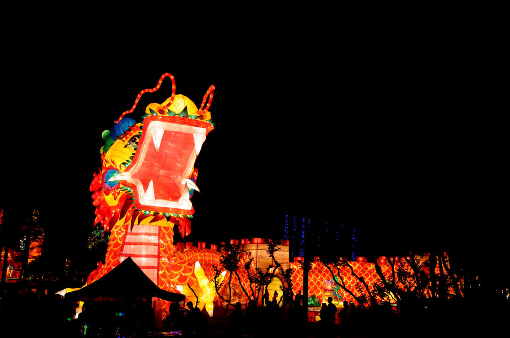 neo_img_dsc_9878.jpg