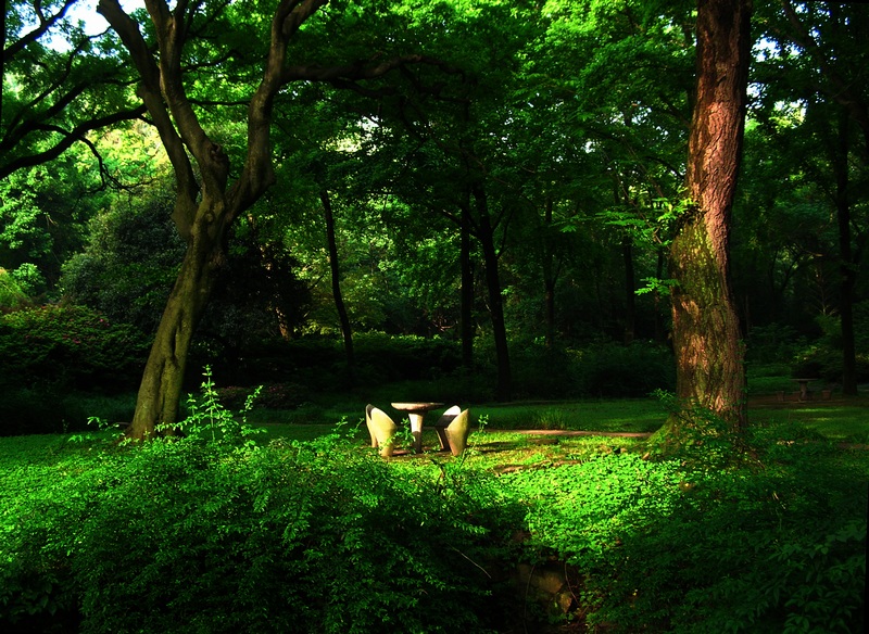 dscn60860.jpg