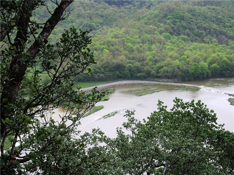 imgp3205_.jpg
