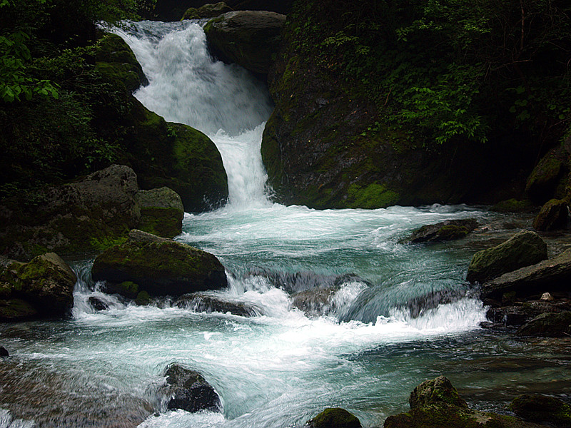 p5116526_.jpg