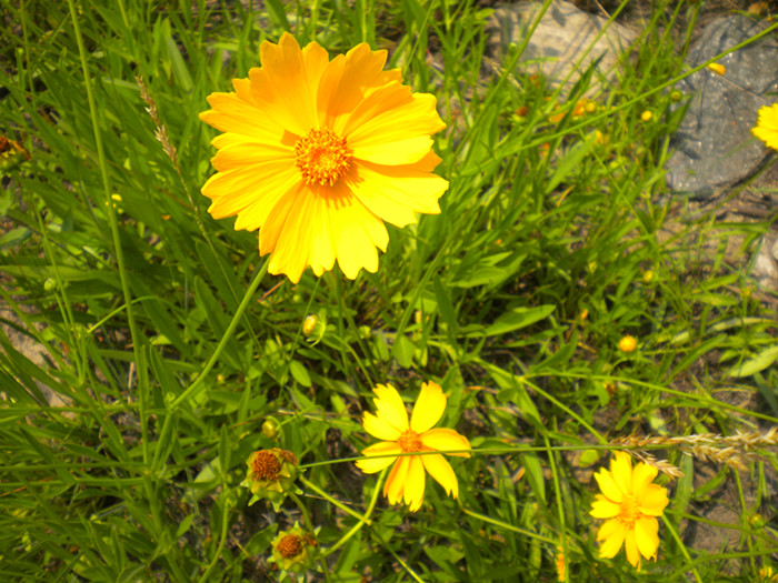 dscn5200_.jpg