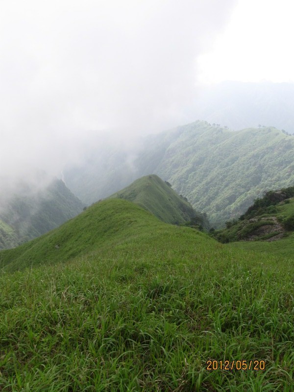 conew_img_5081.jpg