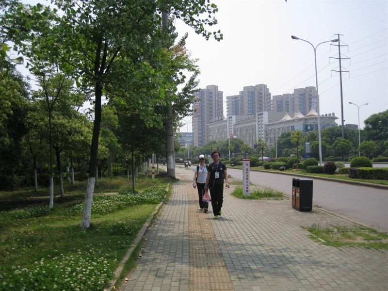 36.jpg