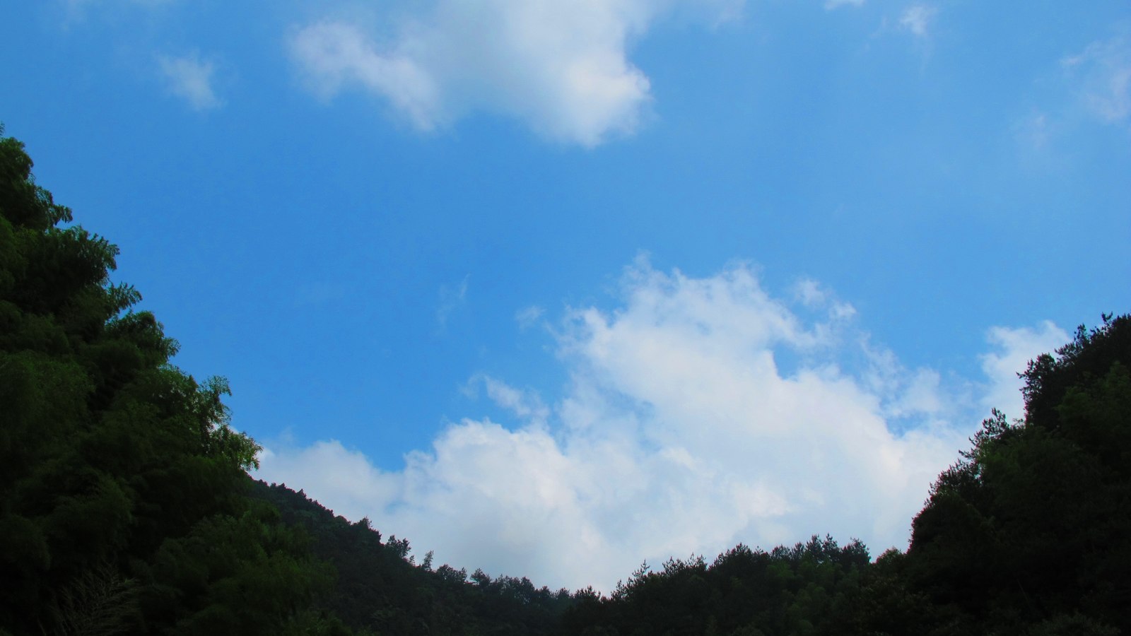 6y 016.jpg
