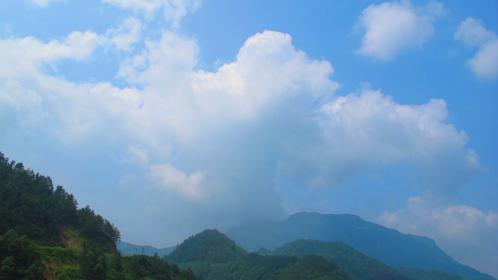 6y 011.jpg