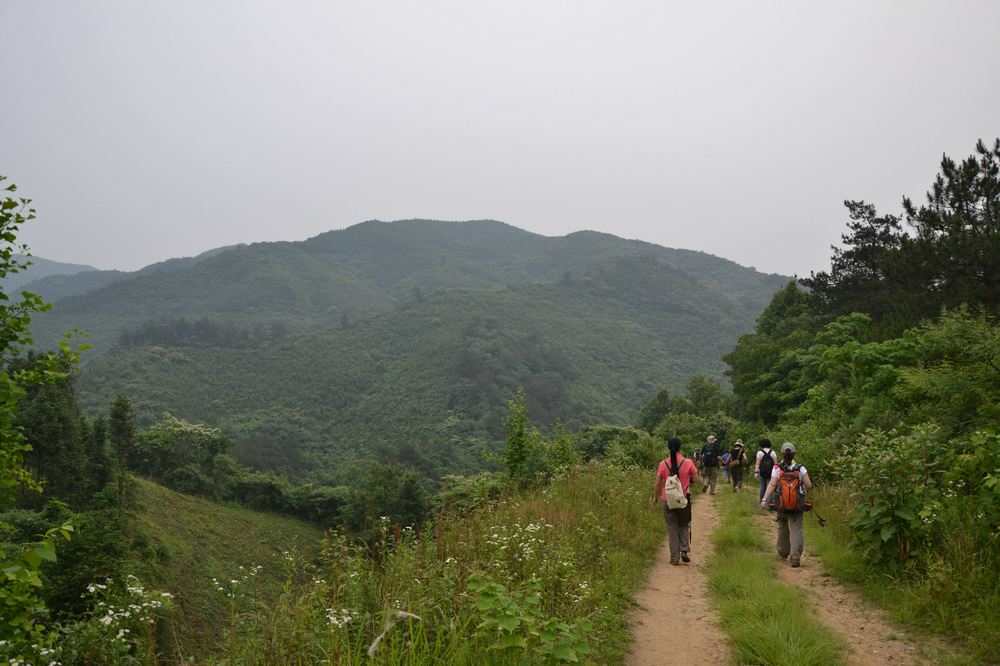 2012.6.3Ů̶267.jpg