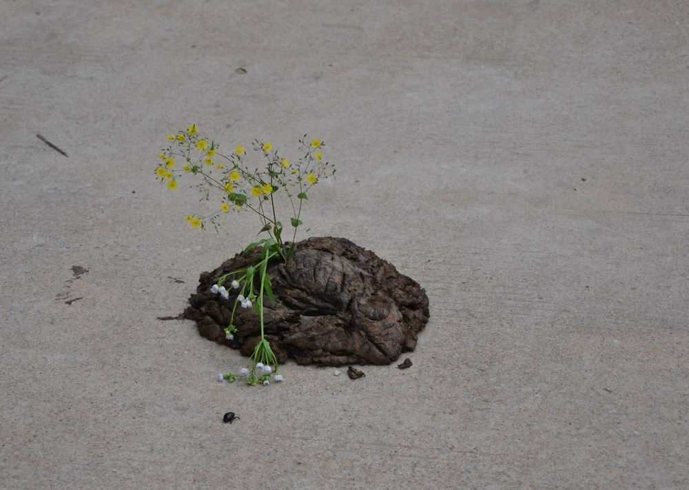 2012.6.3Ů̶277.jpg
