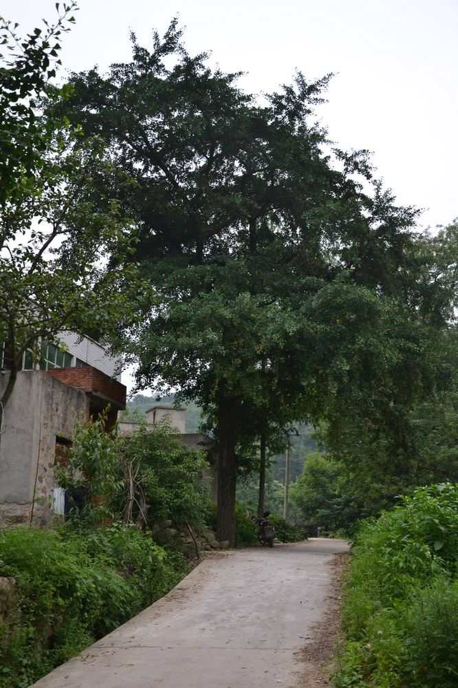 2012.6.3Ů̶274.jpg