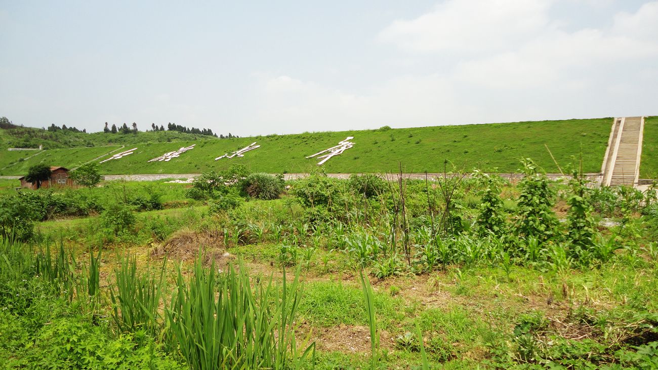 neo_img_dsc07116.jpg
