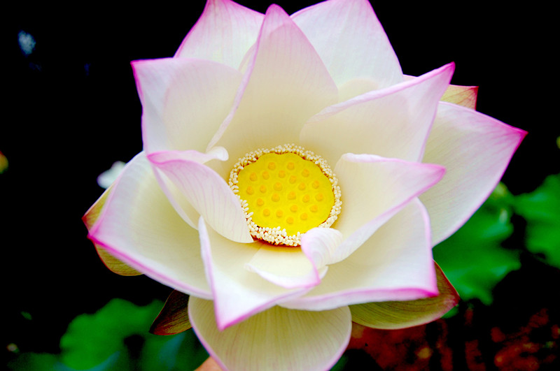 dsc00169_.jpg