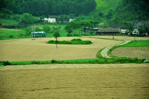dsc_0744.jpg