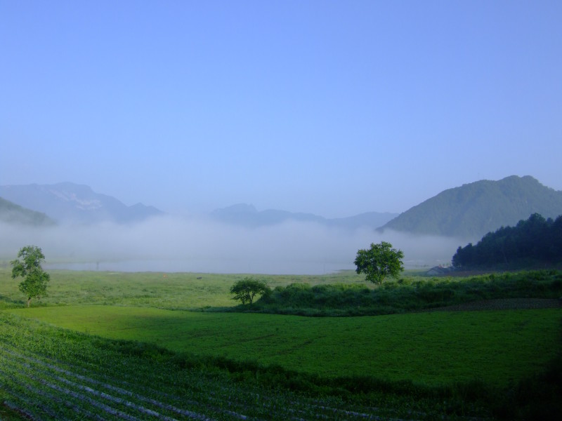 dscf6094ya.jpg