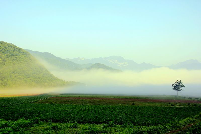 _mg_2797.jpg