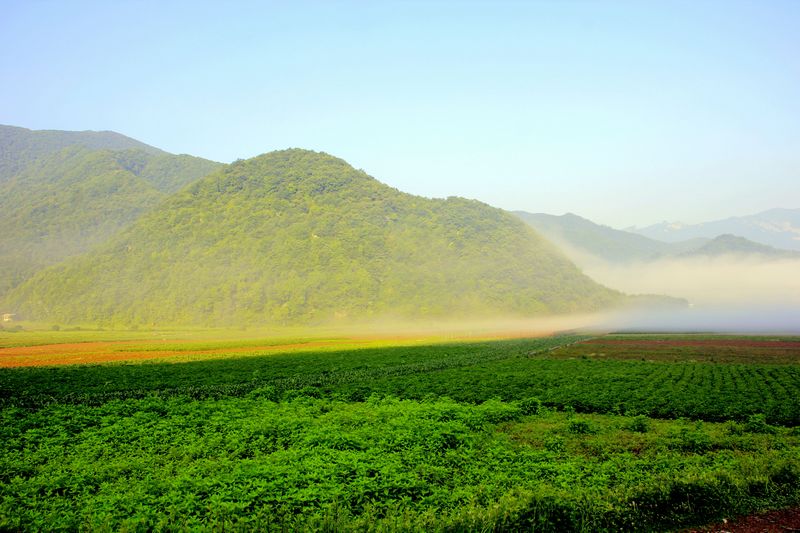 _mg_2802.jpg