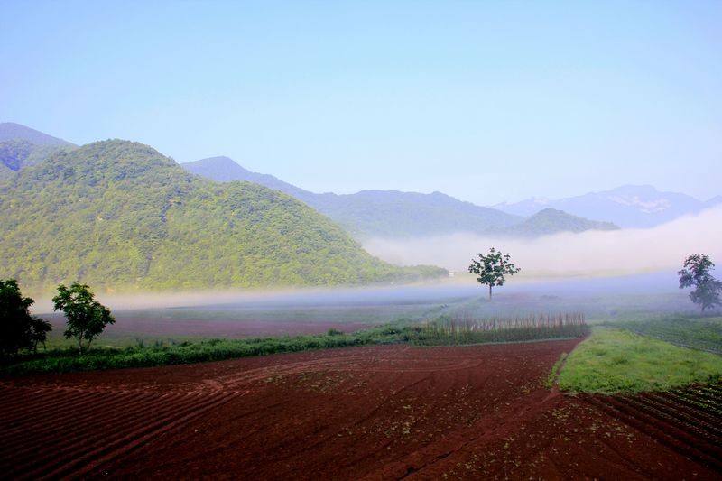 _mg_2812.jpg