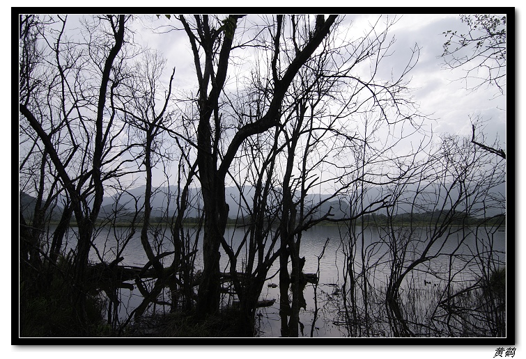 ƽʹź008.jpg