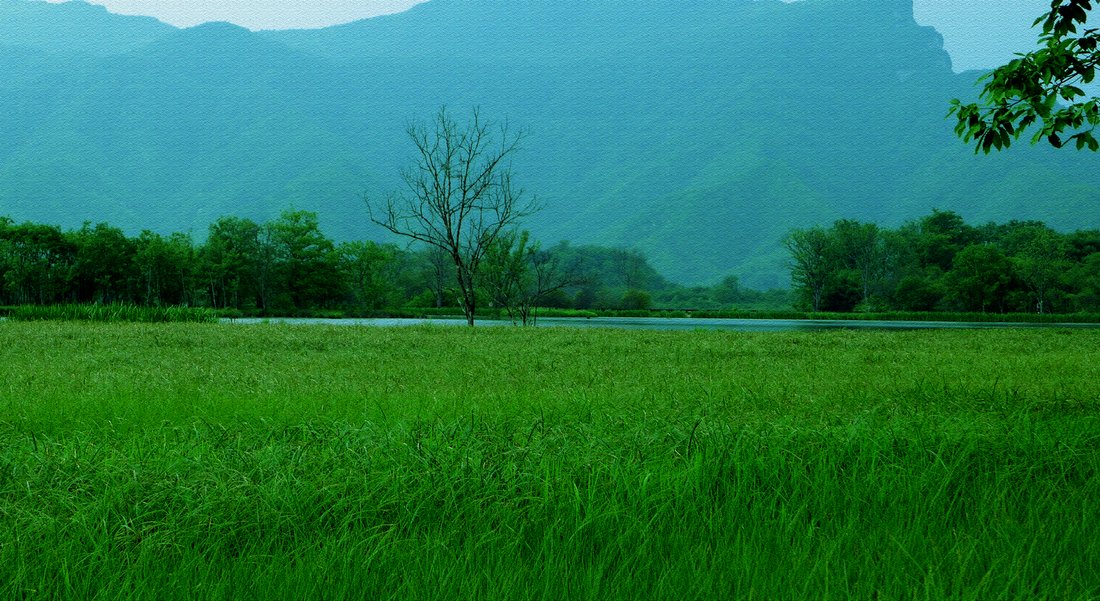p1010157.jpg