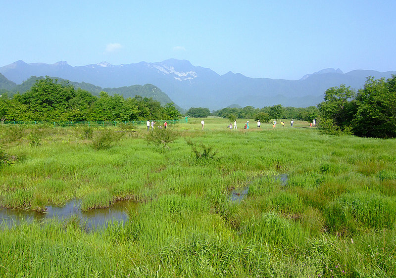 dscf6160ay.jpg
