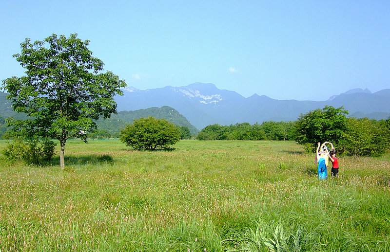 dscf6173ay.jpg
