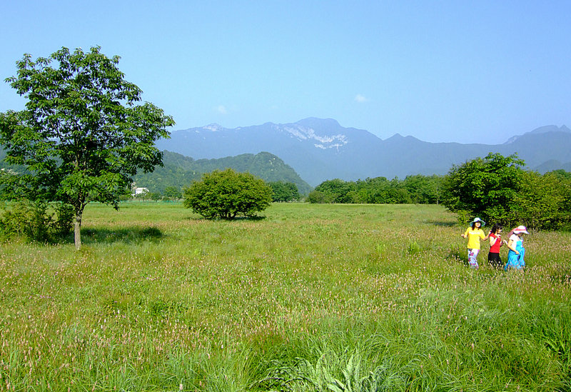 dscf6174ay.jpg