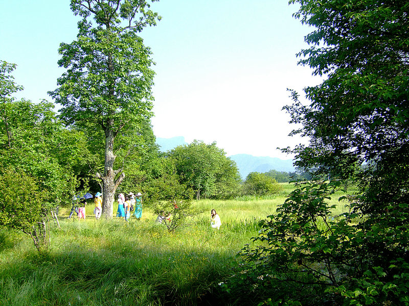 dscf6186ay.jpg