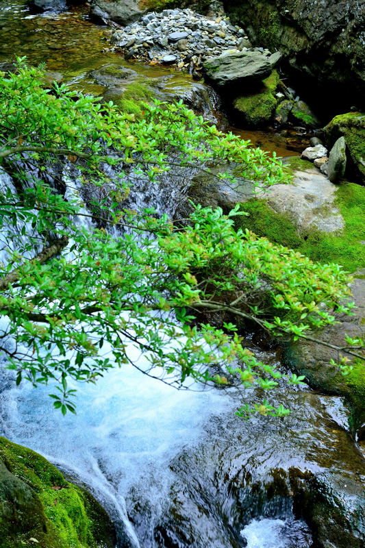 dsc_8905_015_.jpg