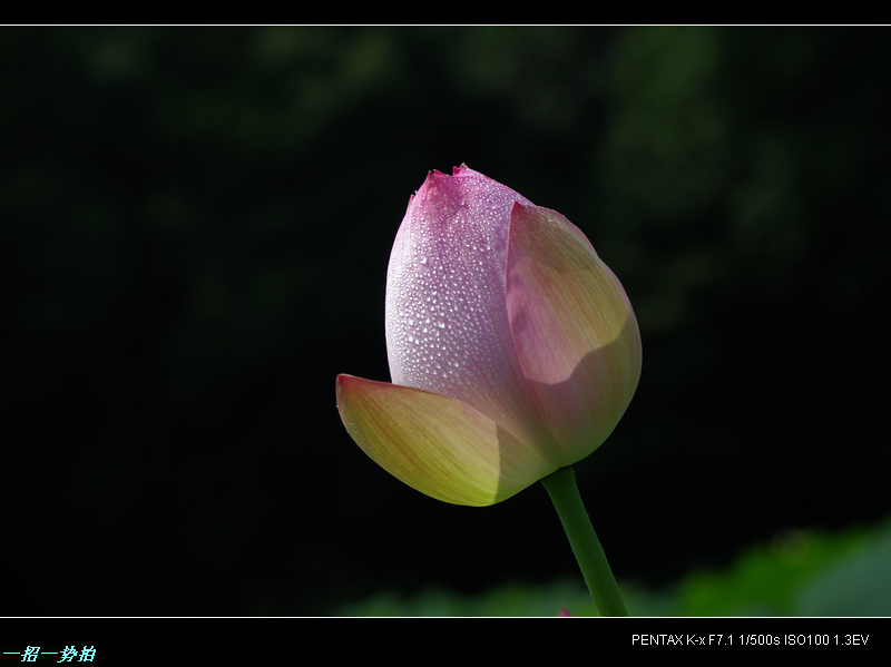 imgp9828.jpg