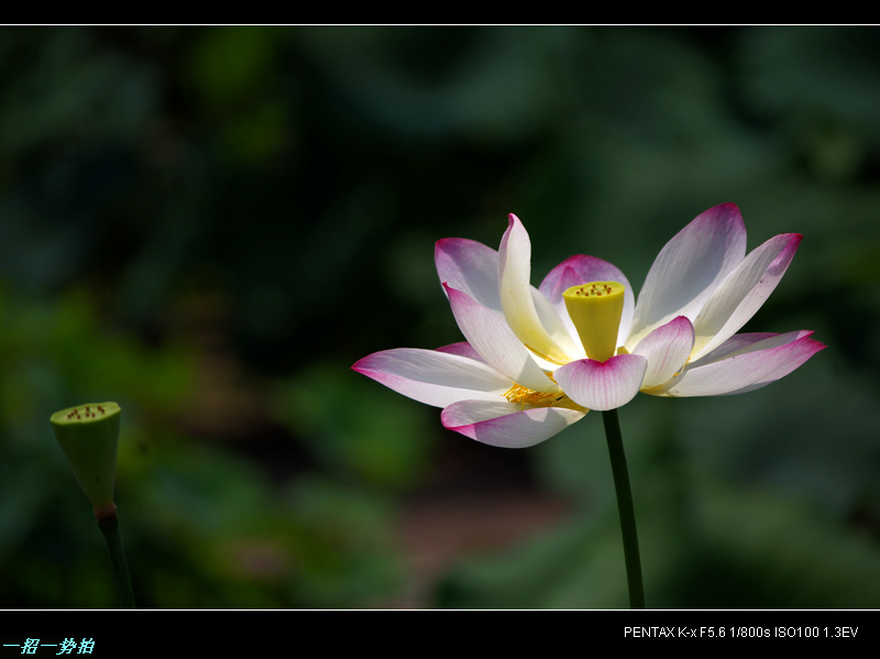 imgp9857.jpg