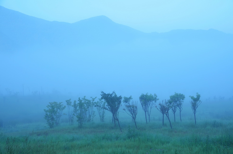 dsc_0663.jpg