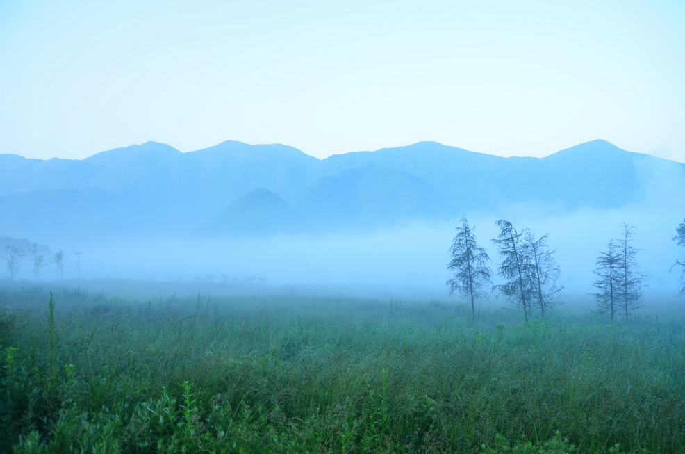 dsc_0652.jpg