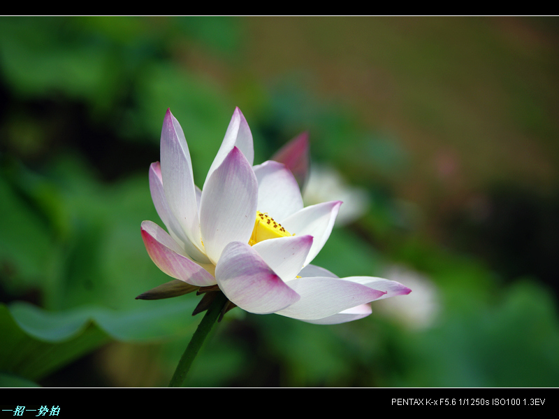 imgp9924.jpg