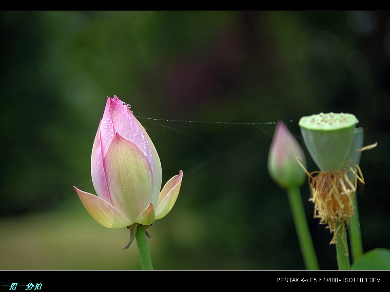 imgp9925.jpg