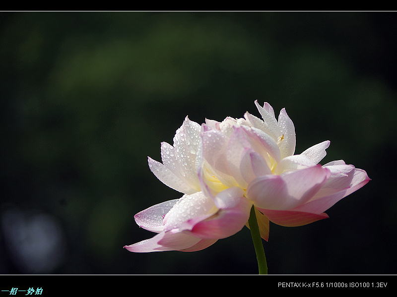 imgp9928.jpg