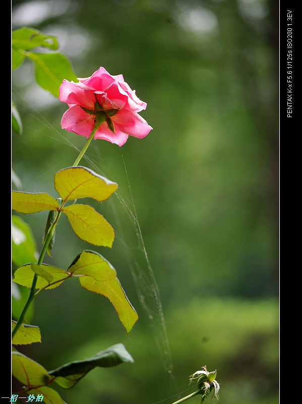 imgp9971.jpg