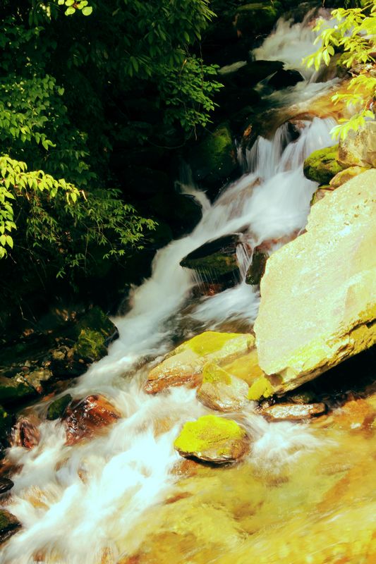 _mg_4010.jpg