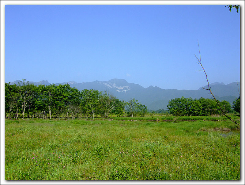 dscf6221ay.jpg