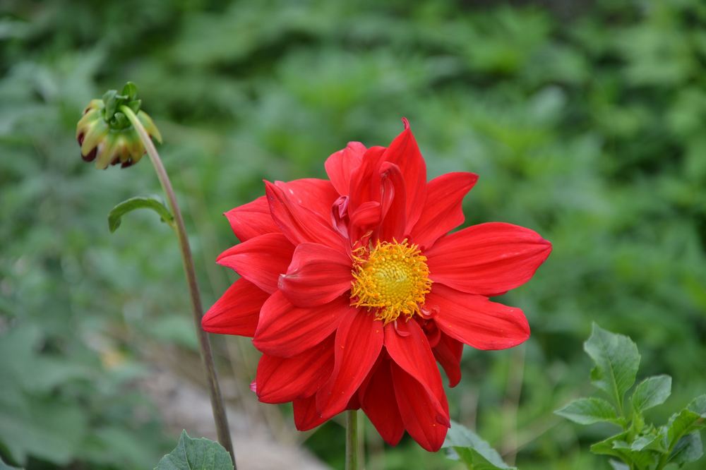 2012.6.3Ů̶005.jpg