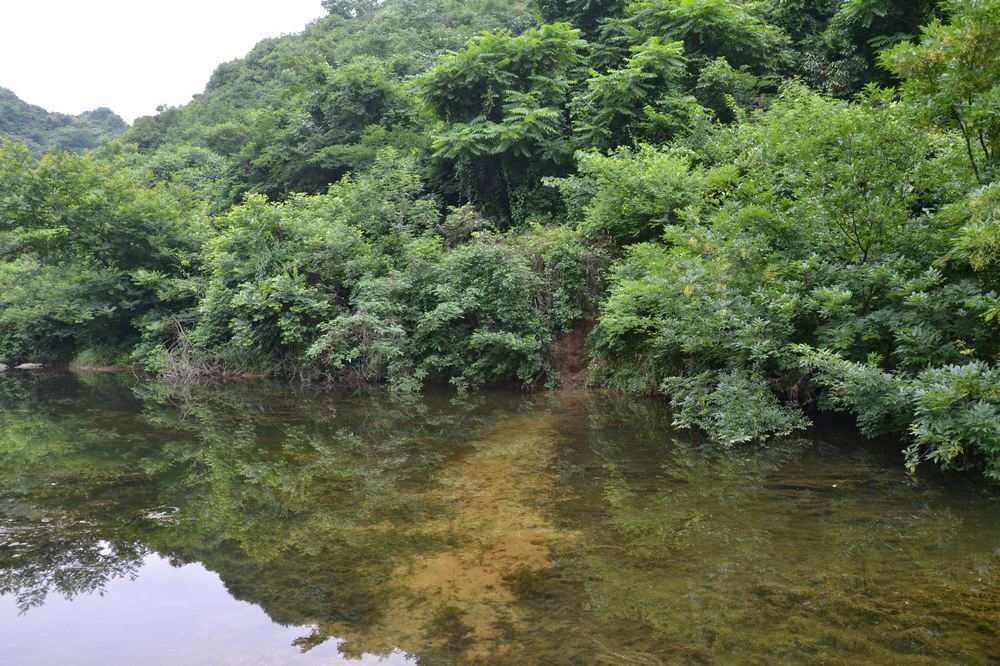 2012.6.3Ů̶030.jpg